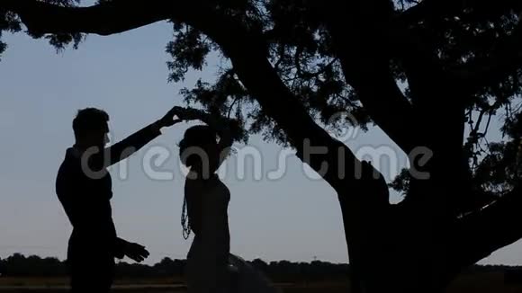大树下的新娘和新郎视频的预览图