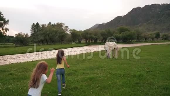 孩子们跑过田野两个小女孩跑过一片草地在那里放牧马姐妹们玩得开心视频的预览图