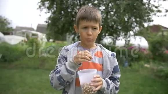 男孩在公园里吃爆米花户外慢动作视频的预览图