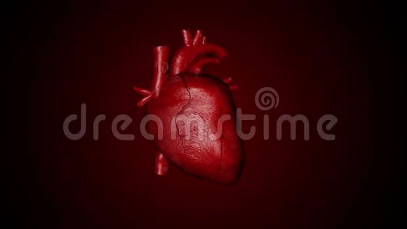 人类心脏跳动3D动画视频的预览图