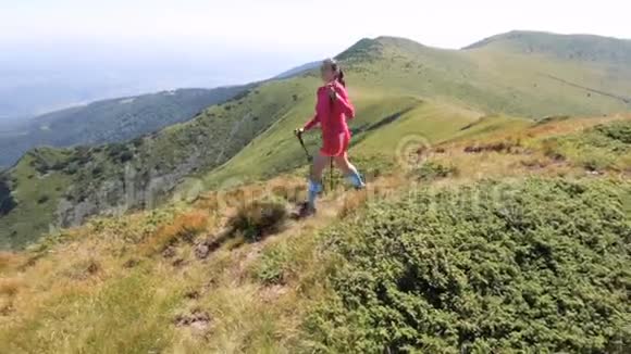 穿粉色衣服在山上徒步旅行的年轻女子视频的预览图