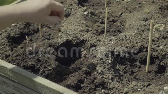 蔬菜高架木床园艺设备挖穴播种视频的预览图