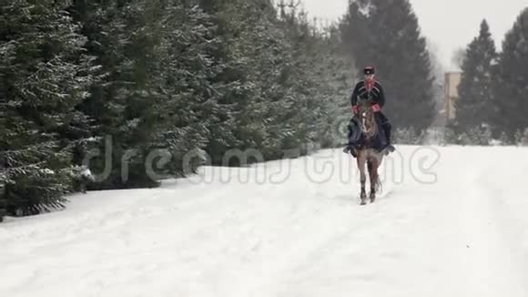 男人骑马骑着一匹棕色的大马在美丽的雪冬景观中男性骑手优雅大方视频的预览图