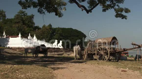 缅甸曼德勒宝塔附近的牛车出租车视频的预览图