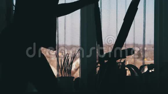 女练习题的剪影椭圆教练交叉教练在家靠窗视频的预览图