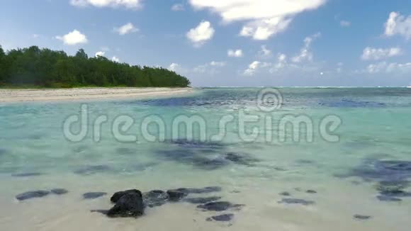 森林海岸线和蓝色泻湖毛里求斯视频的预览图