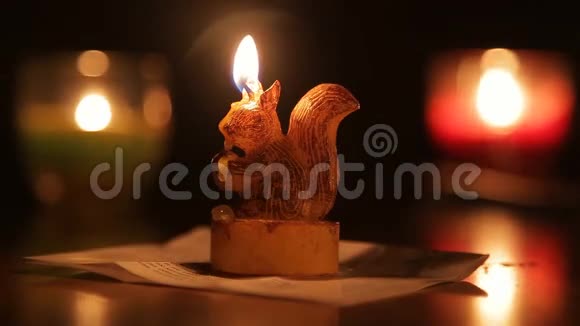 松鼠形状蜡烛视频的预览图