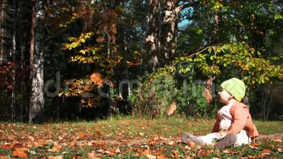 小女婴一动不动地坐在草地上在明媚阳光的初秋天看着公园里飘落的叶子视频的预览图