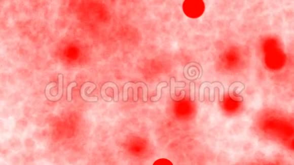 显微镜下动脉中红细胞的运动红细胞在血液中运动可循环的视频的预览图