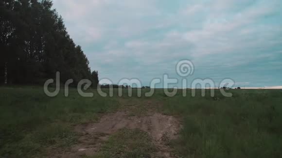 乡间小路沿着树林穿过初夏的草地视频的预览图