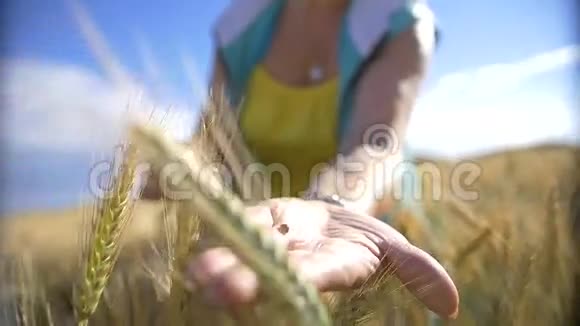 麦田里的瓢虫女人和瓢虫玩慢动作视频的预览图