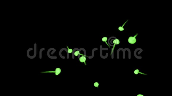 在黑色背景上的水中辉光绿色墨水的3D渲染Luma哑光作为墨水效果或背景的阿尔法掩模视频的预览图
