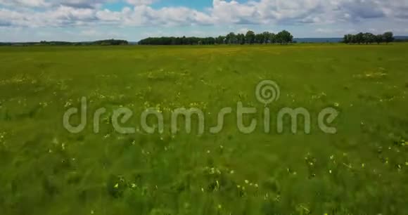 从四翼飞机飞过一片绿色草地视频的预览图