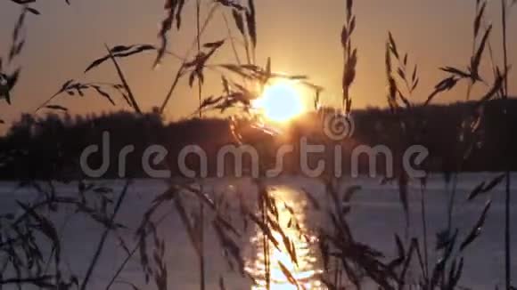 清晨日出烈日炎炎越过沉睡的河流视频的预览图