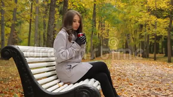 秋天公园的长凳上戴着灰色外套和围巾的美丽年轻女子视频的预览图