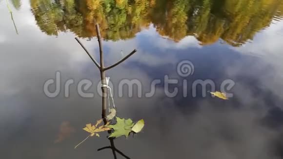 秋天的树叶在水面上捕鱼季节的结束视频的预览图