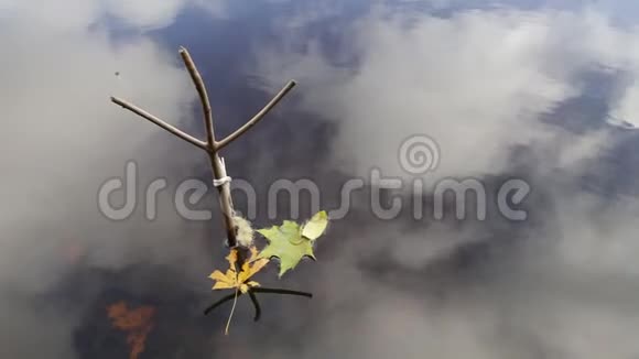 秋天的树叶在水面上捕鱼季节的结束视频的预览图