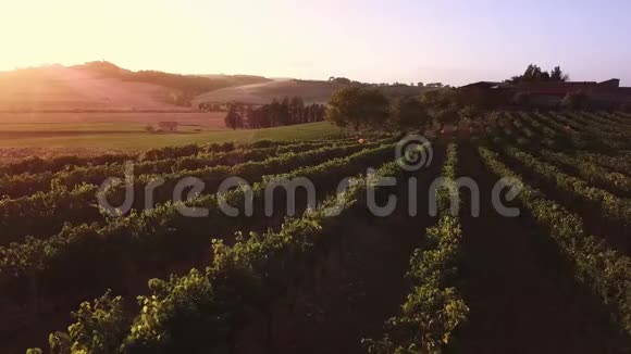 无人机视频飞过意大利葡萄园视频的预览图