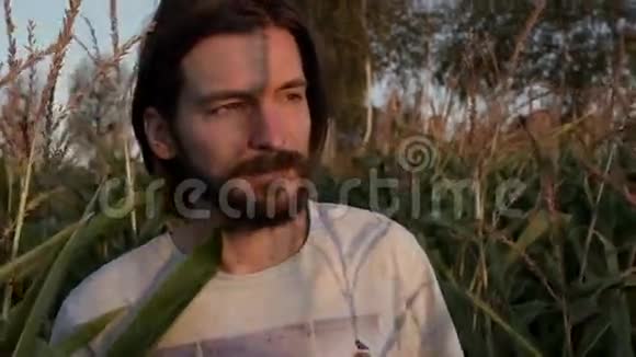 一个留着胡子的帅哥穿过玉米地日落日出的自然景观视频的预览图