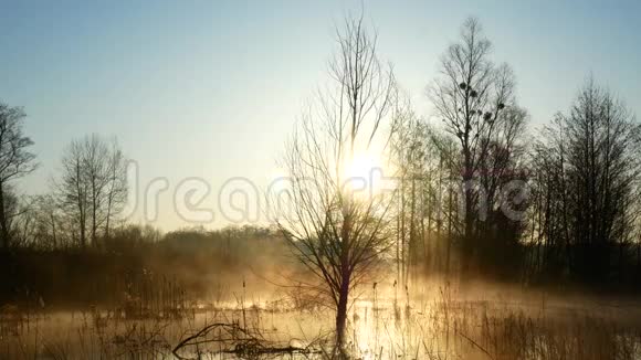 乌克兰湖上空的日出雾在水面上美丽极了视频的预览图