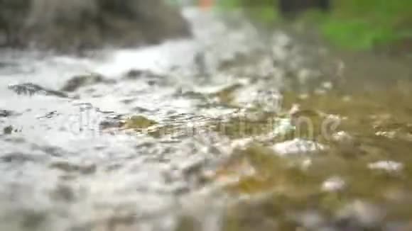 新鲜清澈的河水流过岩石选择性聚焦应用在小溪流的绿水中荡漾视频的预览图