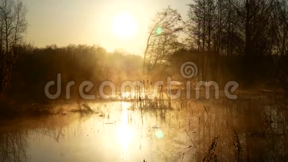 乌克兰湖上空的日出雾在水面上美丽极了视频的预览图