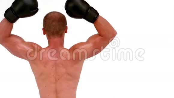 拳击手举起手臂的后视图视频的预览图