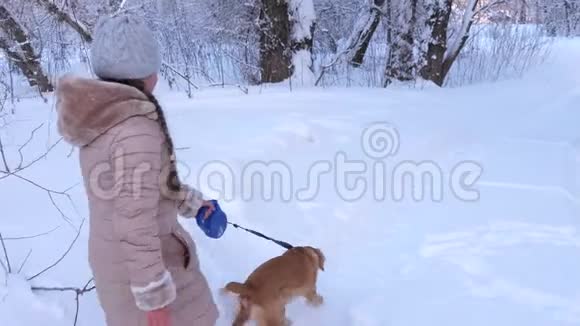 孩子们在森林里冬天在雪地里玩狗冬天女孩狗和狗沿着小径在公园里散步开心快乐视频的预览图