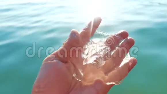 水母在海滩上日落背景水母通过手中的太阳射线和海平面照射透明的生活方式视频的预览图