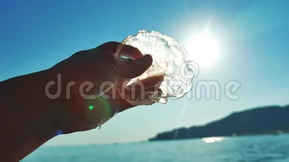 水母在海滩上日落背景水母通过手中的太阳射线和海平面照射透明透明视频的预览图