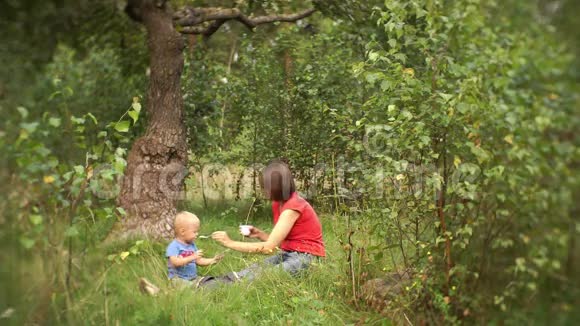 年轻的母亲和可爱的小儿子在大自然中野餐视频的预览图