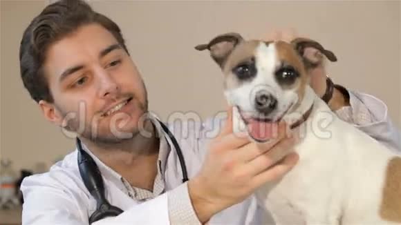 男性兽医看着狗视频的预览图
