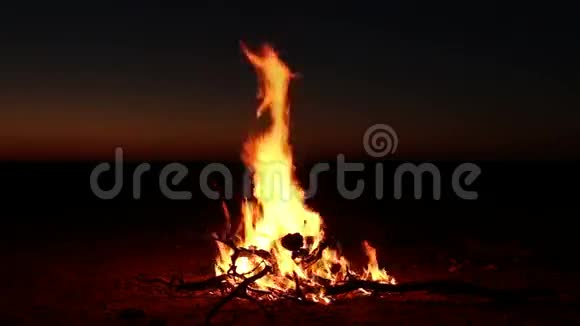夜间篝火视频的预览图