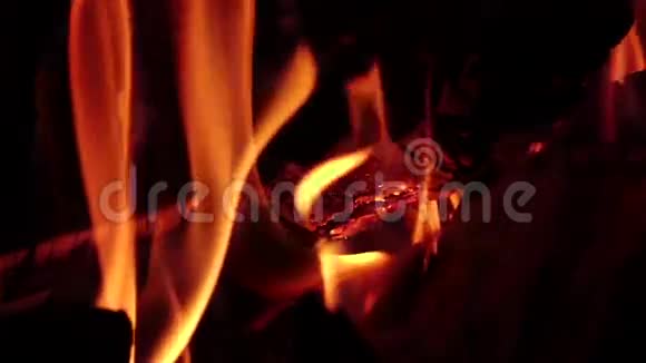 晚上在营火中热煤缓慢运动特写视频的预览图