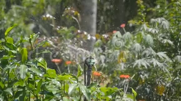 草坪园林自动浇水自动喷水灭火系统慢动作视频的预览图