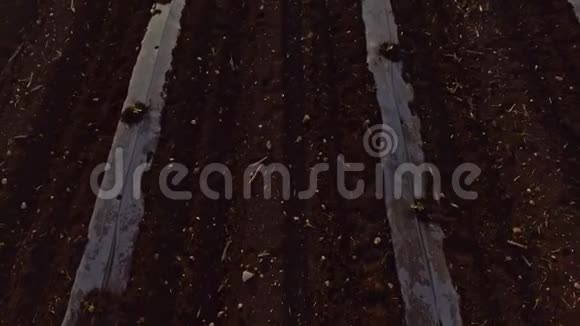 农场工人用拖拉机在田里工作的空中镜头视频的预览图