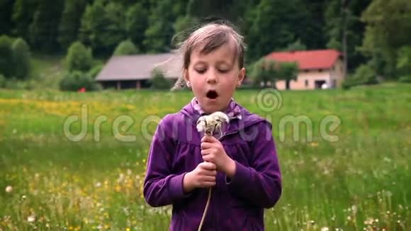 小女孩吹蒲公英的花朵视频的预览图