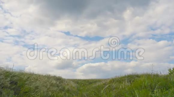 青草在风中流逝视频的预览图