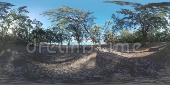 毛里求斯自然与海洋海岸树木360VR场景视频的预览图