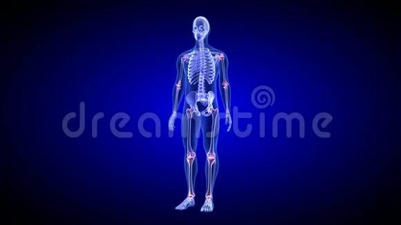 关节痛蓝色人体解剖体三维扫描渲染旋转无缝环视频的预览图