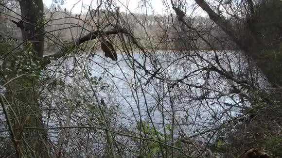 乔治亚州查塔霍切河通过树木缩小查塔霍切河的视野视频的预览图