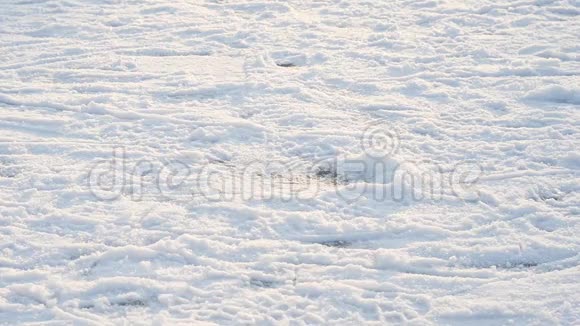 冰滑冰鞋穿在覆盖着雪的冰上视频的预览图