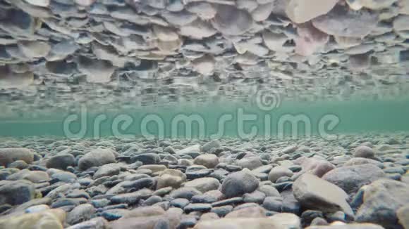 深秋多彩的河底长满藻类的石块和岩石反射的地表张力视频的预览图