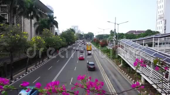 高速公路的交通流量和前景花卉视频的预览图