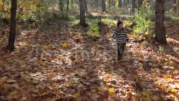 小男孩跑向父母秋公园视频的预览图