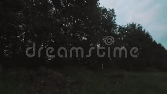 初夏清晨穿越绿色草原的林间小路视频的预览图