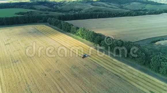 空中无人机镜头收割机联合收割小麦收割粮田美丽的自然空中景观视频的预览图