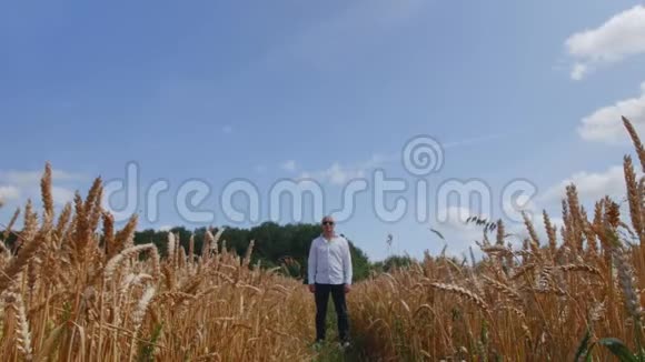 人走过金色麦田概念生态清洁空气夏季春季种植园草地植物视频的预览图