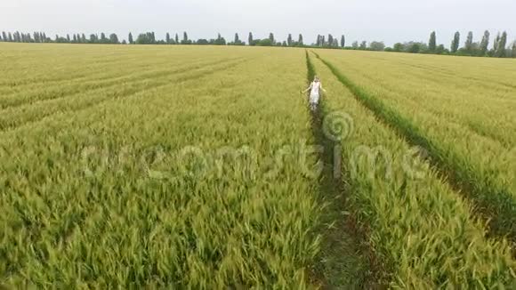 穿着蓝色连衣裙的金发女人带着小麦在田野里奔跑视频的预览图
