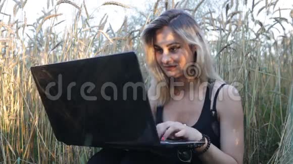 美丽的金发美女使用笔记本电脑在草地麦田视频的预览图